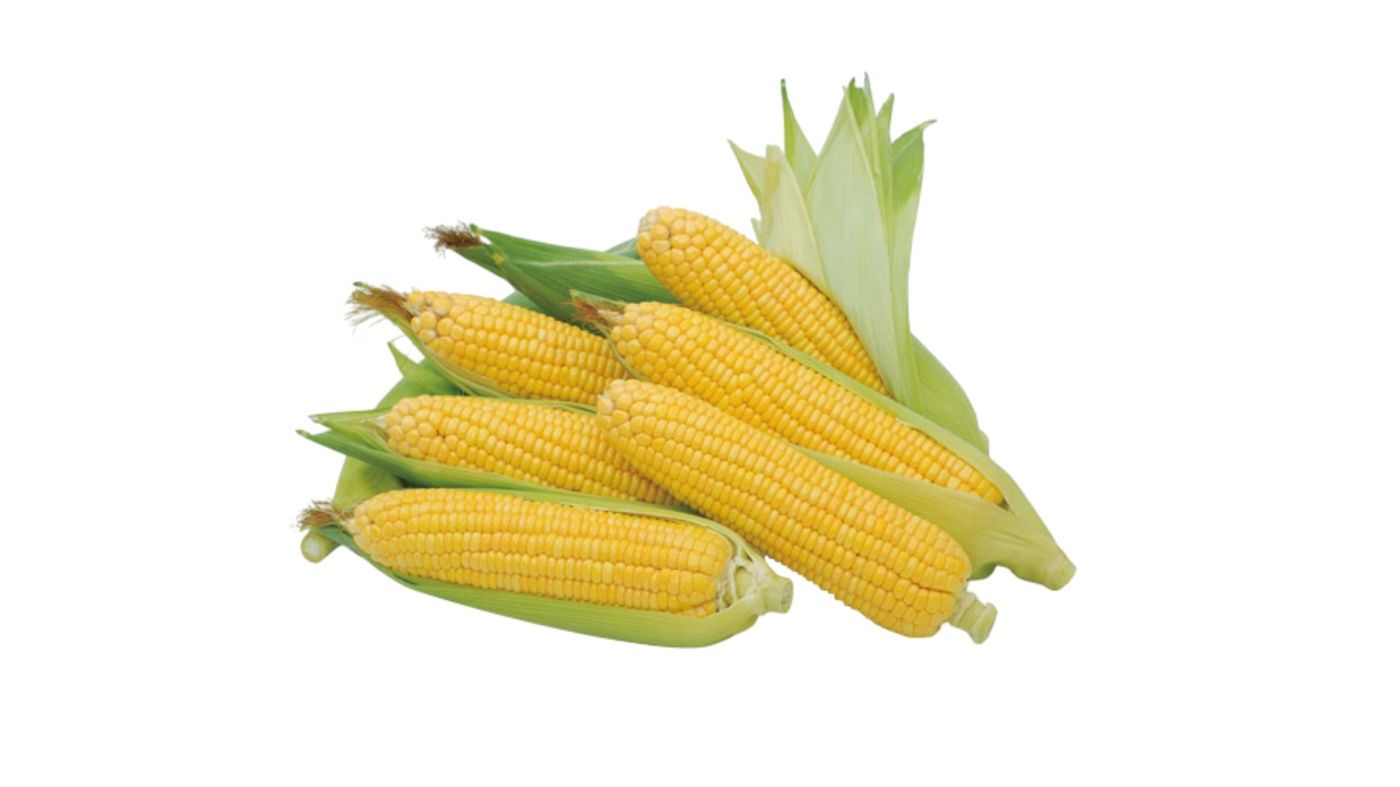 Sweet Corn
